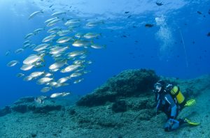 Buceo en la Costa Blanca