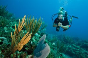 PADI: Titulación Internacional de buceo