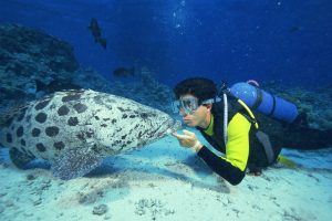 Submarinismo en las islas baleares